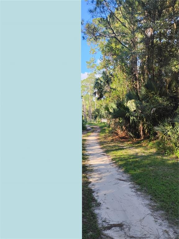 JESSIE AVENUE, DELAND, FL — photo 2 of 4