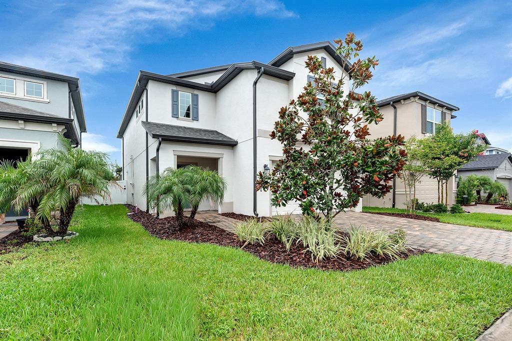 A two-story white house with a paved driveway, a front lawn, and a large magnolia tree — 31867 ASBURY AVENUE, WESLEY CHAPEL, FL