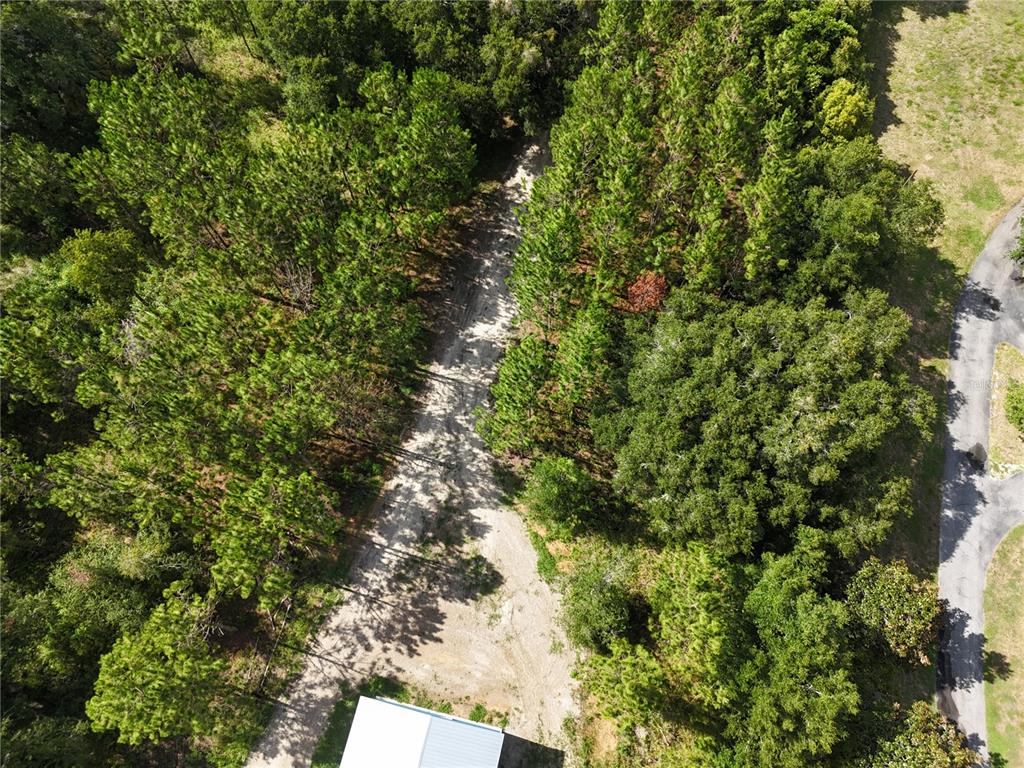 An aerial view shows a dirt driveway winding through a wooded lot toward a building — 00 E COUNTY ROAD 44A, EUSTIS, FL