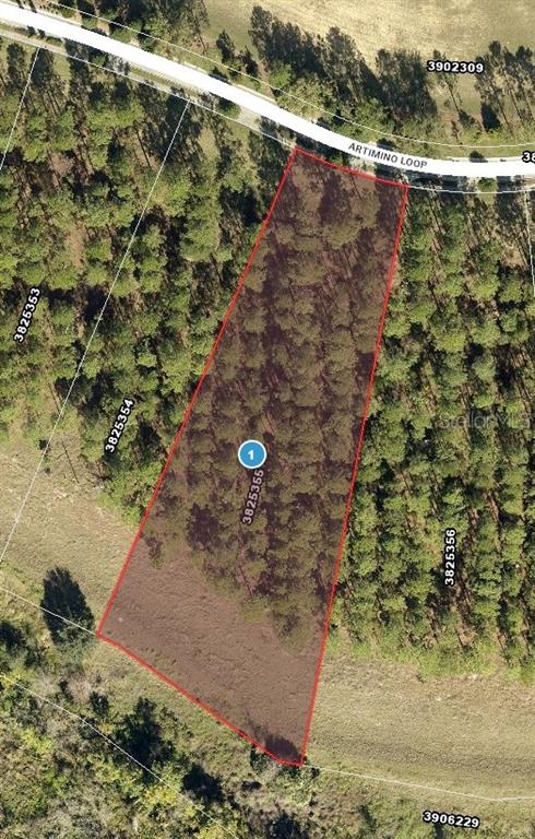 An aerial map view shows a wooded, trapezoidal-shaped plot of land along Artimino Loop — 16822 ARTIMINO LOOP, MONTVERDE, FL