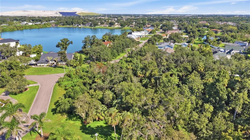 An aerial view shows a residential neighborhood with a large lake and dense trees — 8902 ALAFIA WAY, RIVERVIEW, FL
