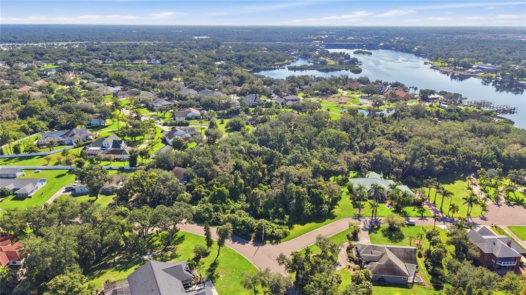 An aerial view shows a residential neighborhood with houses, dense trees, and a nearby lake — 8902 ALAFIA WAY, RIVERVIEW, FL