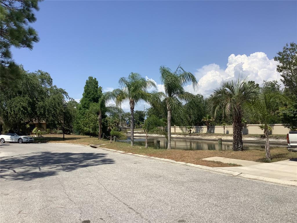 A paved street leads to a small pond lined with palm trees and a concrete wall — 18657 WHITE PINE CIRCLE, HUDSON, FL
