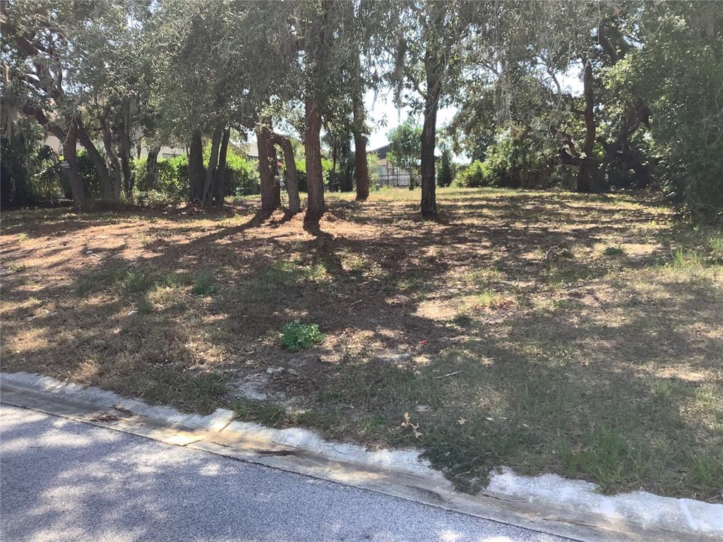 A vacant, wooded residential lot sits behind a paved street and concrete curb — 18657 WHITE PINE CIRCLE, HUDSON, FL