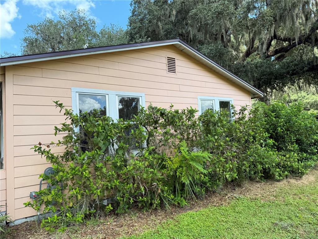 A light-colored house exterior features horizontal siding, two windows, and overgrown bushes in the yard — 815 N ORANGE AVENUE, FORT MEADE, FL