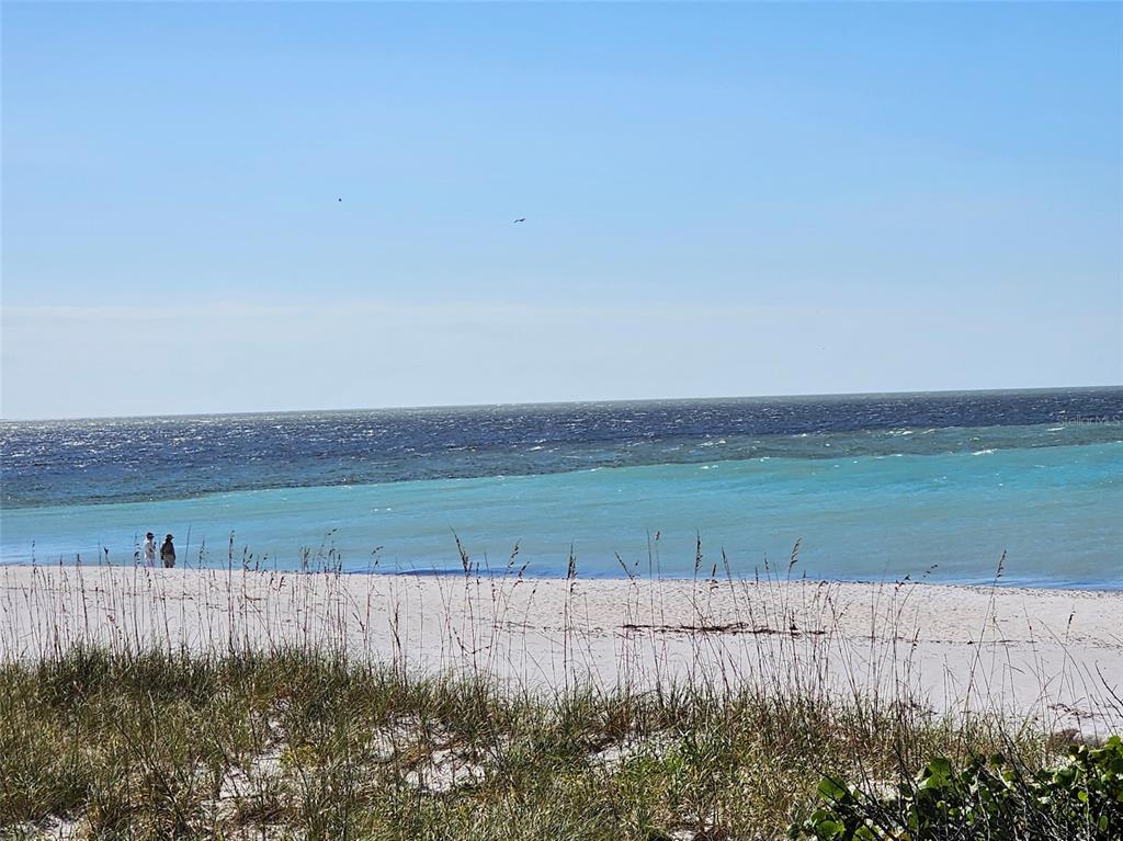 A sandy beach with tall dune grass overlooks the turquoise and deep blue ocean — 12043 BACCHUS ROAD, PORT CHARLOTTE, FL