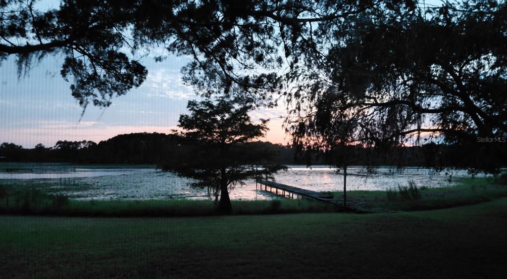 A dirt driveway leads through a wooded area toward a small house in the distance — 348 MITNIK DRIVE, DELTONA, FL