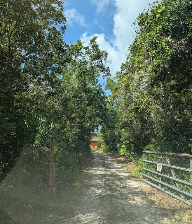 A grassy lawn leads to a lake with a wooden dock and a large cypress tree — 348 MITNIK DRIVE, DELTONA, FL