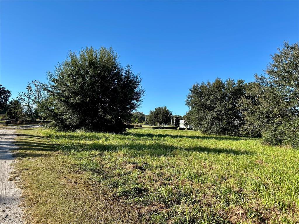 A grassy, undeveloped lot features several large trees under a clear blue sky — S 1ST AVENUE, WAUCHULA, FL