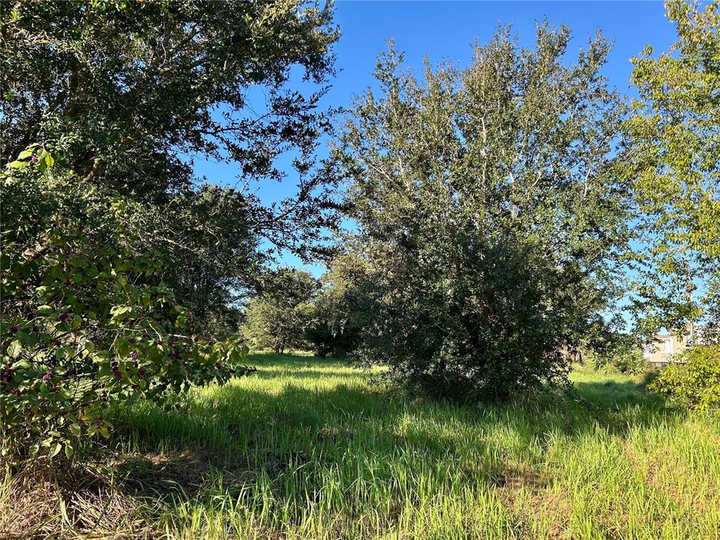 A grassy field is surrounded by mature trees under a clear blue sky — S 1ST AVENUE, WAUCHULA, FL