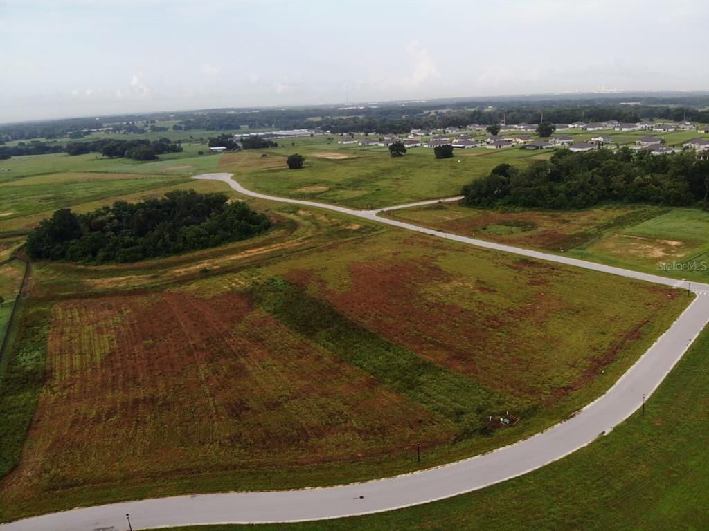 An aerial view shows a paved road curving through a large, undeveloped grassy lot — SPOONBILL RUN DRIVE, THONOTOSASSA, FL