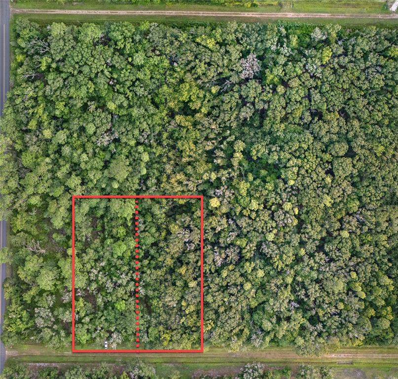 An aerial view shows a wooded lot with a red rectangular outline marking a property — 4715 ALVIN STREET, HASTINGS, FL