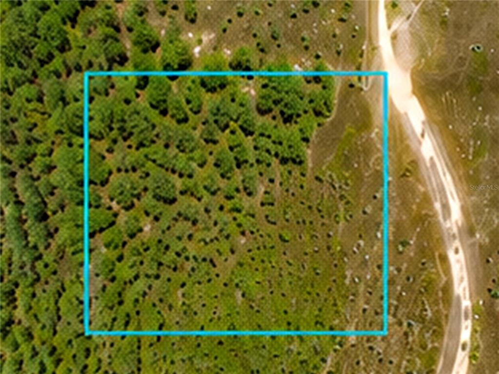 An aerial view shows a rectangular plot of land outlined in blue with scattered trees — 000, MALABAR, FL