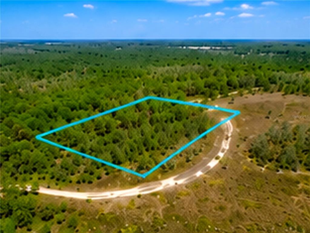An aerial view shows a wooded lot outlined in blue next to a dirt road — 000, MALABAR, FL