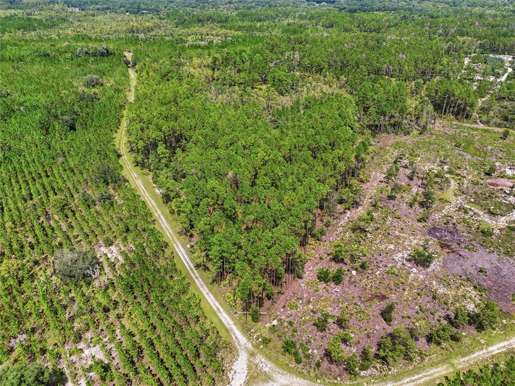 An aerial view shows a dirt road winding through a pine forest and cleared land — SE 51 WAY, TRENTON, FL