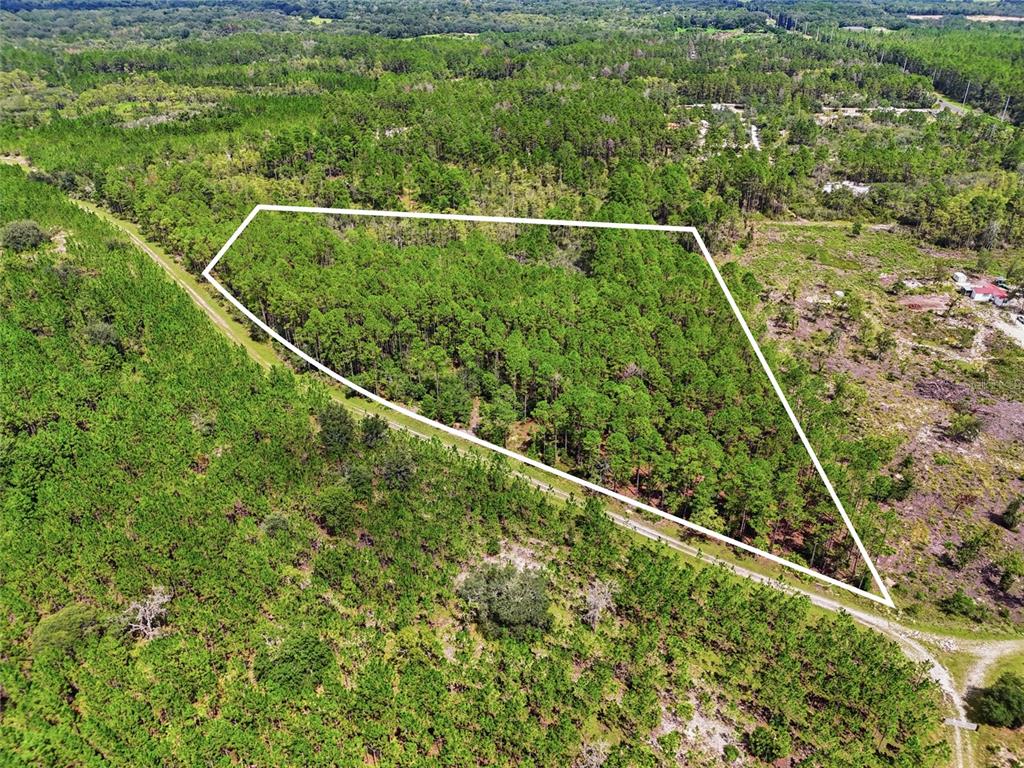 An aerial view shows a wooded plot of land outlined in white next to a road — SE 51 WAY, TRENTON, FL
