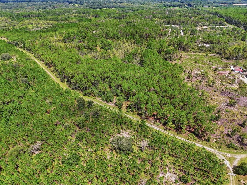 An aerial view shows a dirt road winding through a dense pine forest and cleared land — SE 51 WAY, TRENTON, FL