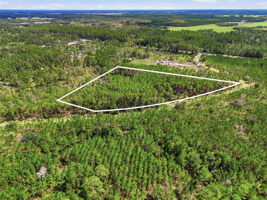 An aerial view shows a wooded plot of land outlined in white — SE 51 WAY, TRENTON, FL