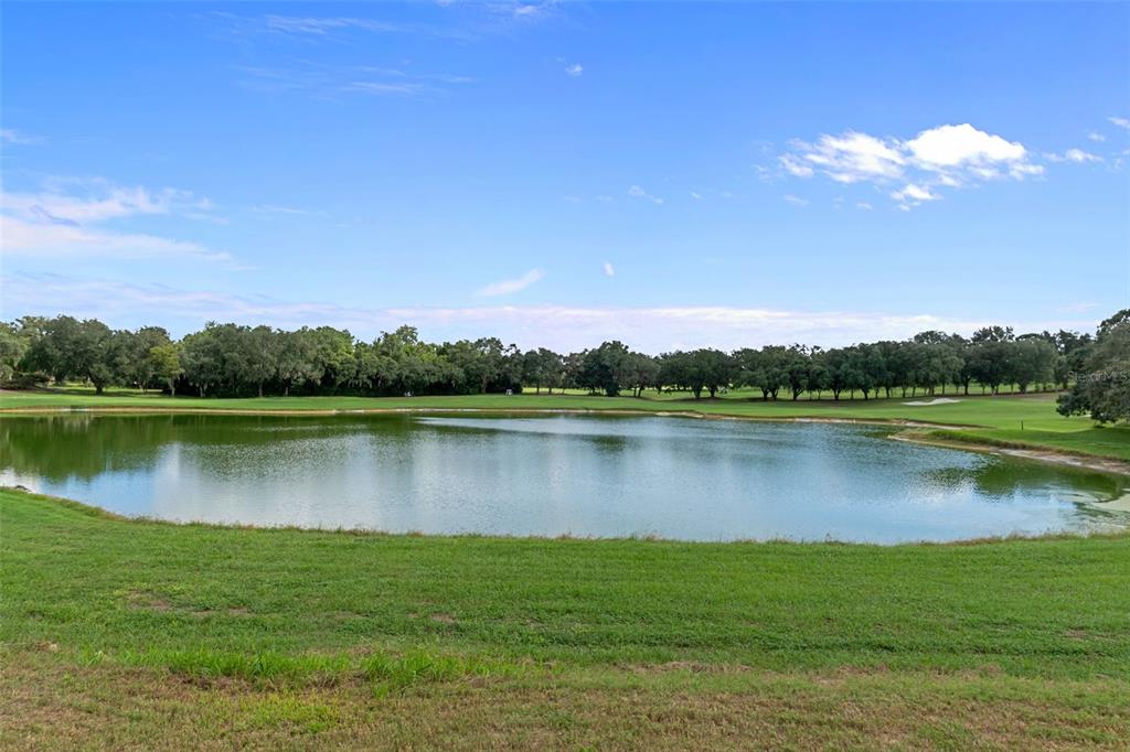 3215 N PINELAKE VILLAGE POINT, LECANTO, FL — photo 3 of 30