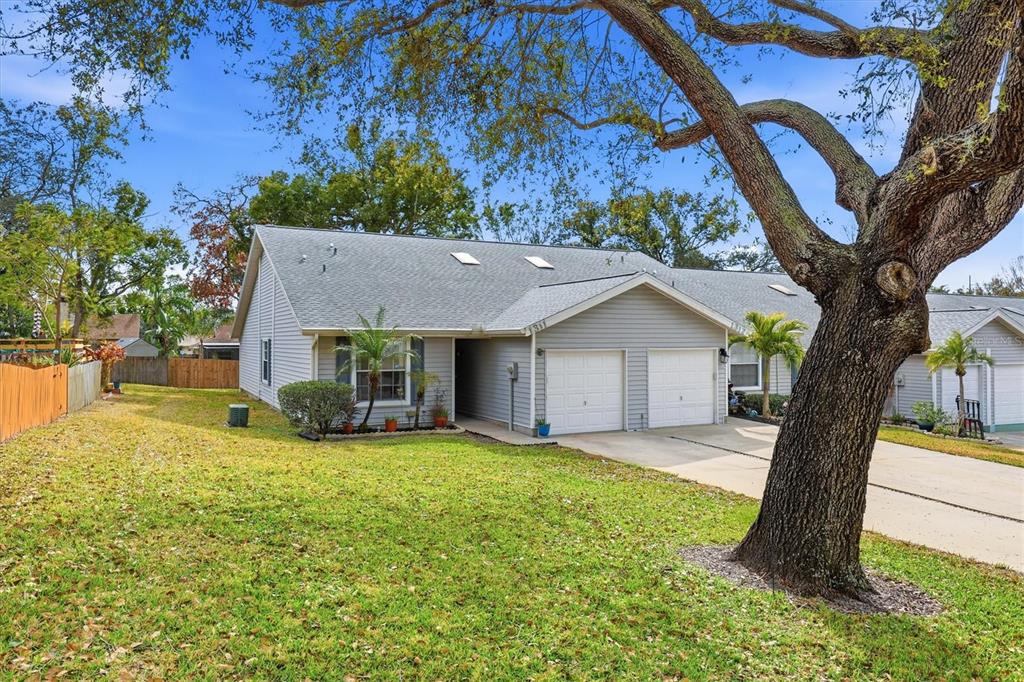 39650 US HIGHWAY 19 N UNIT 1311