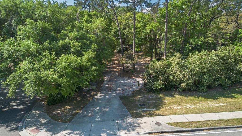 A paved driveway leads into a wooded, undeveloped residential lot from a suburban street — 14 E KELLY PARK ROAD, APOPKA, FL