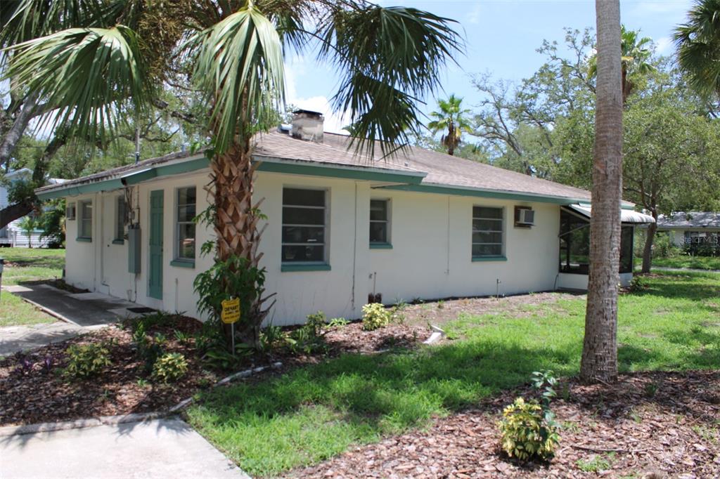 A single-story house with white stucco walls, a green trim, and a palm tree exterior — 300 PRESIDENT STREET, DUNEDIN, FL