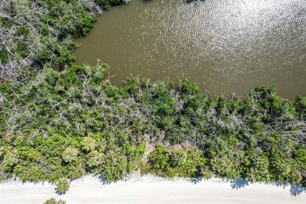 An aerial view shows a sandy beach bordering a dense forest and a body of water — 6170 RUM COVE DRIVE, PLACIDA, FL
