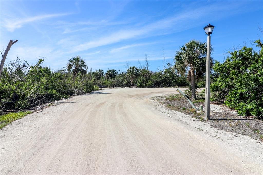 A dirt road curves through a landscape with palm trees and a single lamp post — 6170 RUM COVE DRIVE, PLACIDA, FL