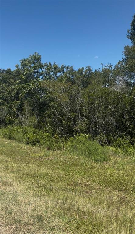 2836 W STARR ROAD, AVON PARK, FL — photo 2 of 2