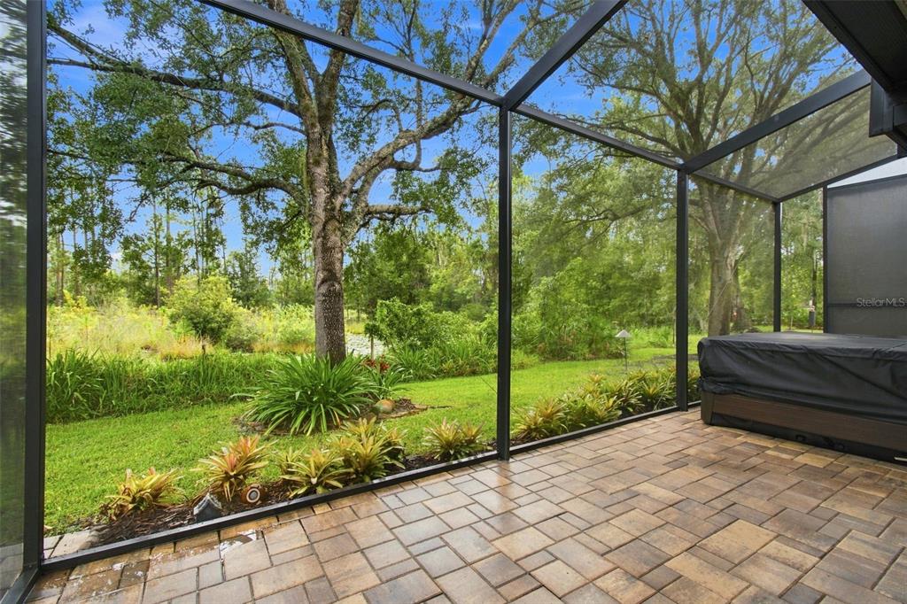 7625 DEER PATH LANE, LAND O LAKES, FL — photo 3 of 30