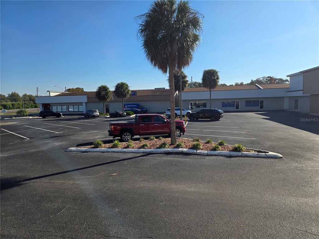 A parking lot in front of a commercial building with a central landscaped palm tree — 39930 US HIGHWAY 19 N UNIT 39930, TARPON SPRINGS, FL