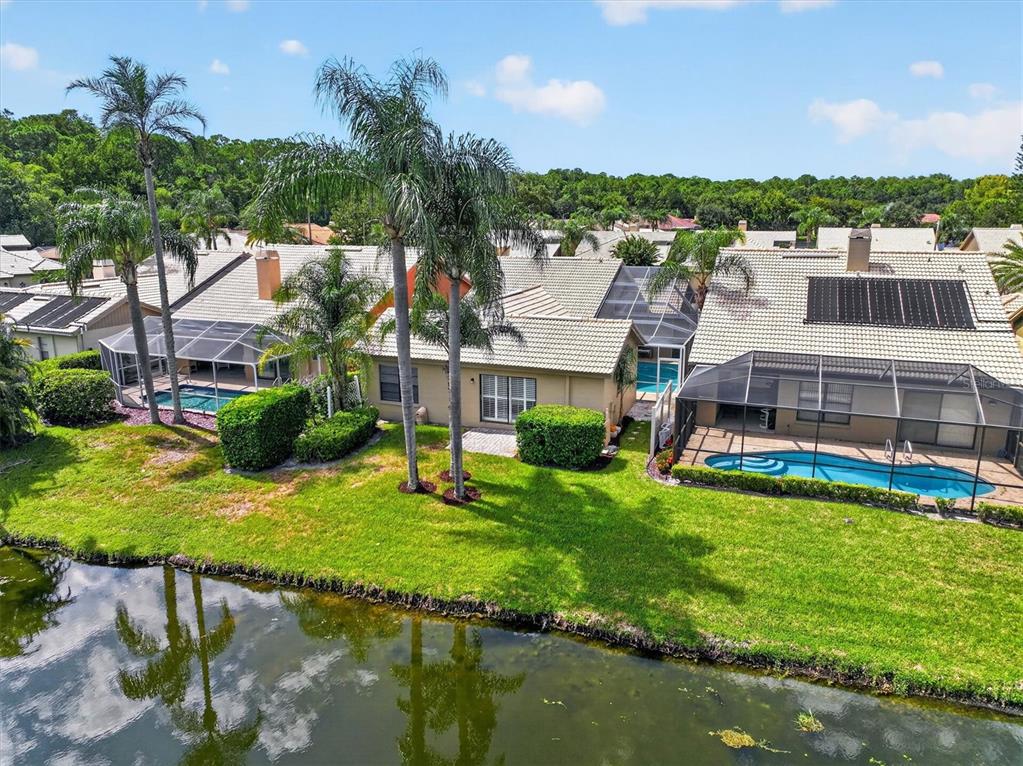 An aerial view of a waterfront house with a swimming pool and screened-in patio — 5466 GREYSTON STREET, PALM HARBOR, FL