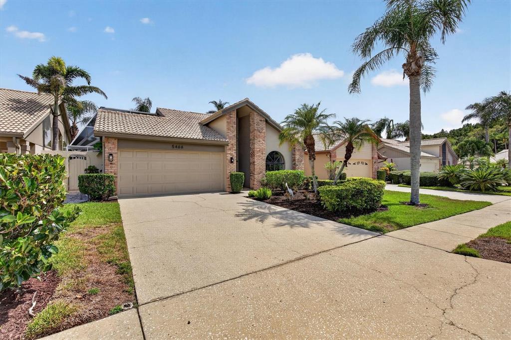 A single-story house with a beige garage, brick accents, and palm trees in the front yard — 5466 GREYSTON STREET, PALM HARBOR, FL