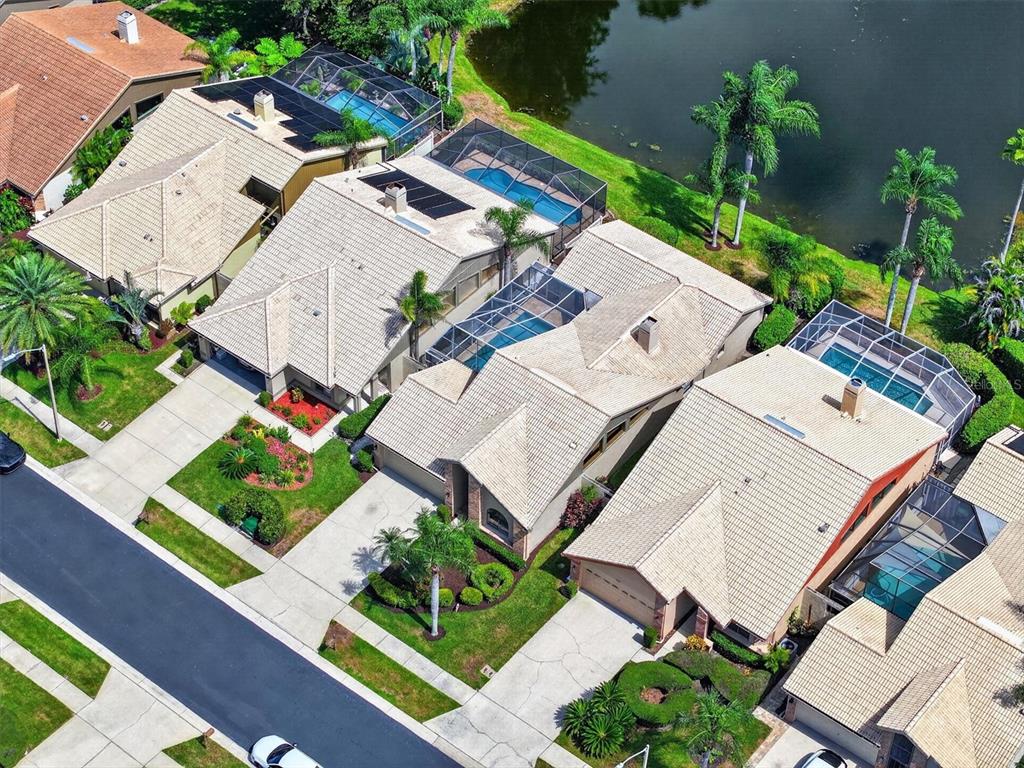An aerial view shows a row of suburban houses with screened-in pools along a lake — 5466 GREYSTON STREET, PALM HARBOR, FL
