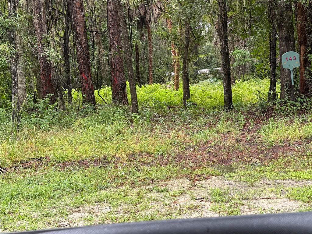 143 N Schoolcraft DRIVE, INGLIS, FL — photo 2 of 2