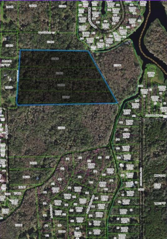 This aerial map shows a large, highlighted parcel of undeveloped land surrounded by wooded lots — 217 S TUCK POINT, INVERNESS, FL