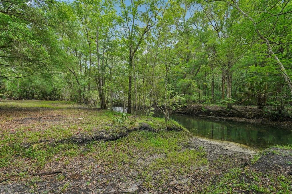 A small, dark creek flows through a wooded area with a grassy, uneven bank — 217 S TUCK POINT, INVERNESS, FL