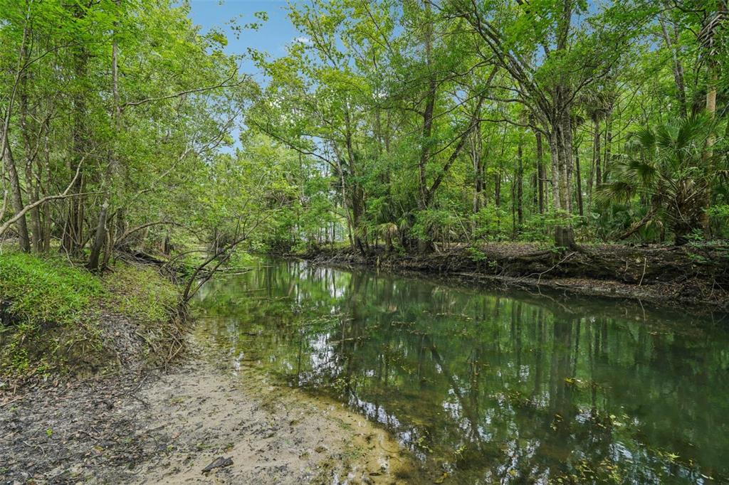 A narrow, calm creek flows through a dense, green forest with muddy banks — 217 S TUCK POINT, INVERNESS, FL