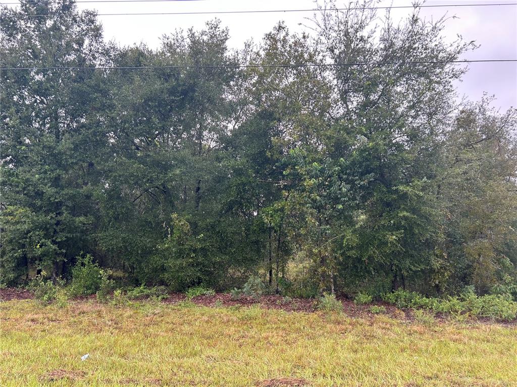 TBD NE 110TH STREET, BRONSON, FL — photo 2 of 2