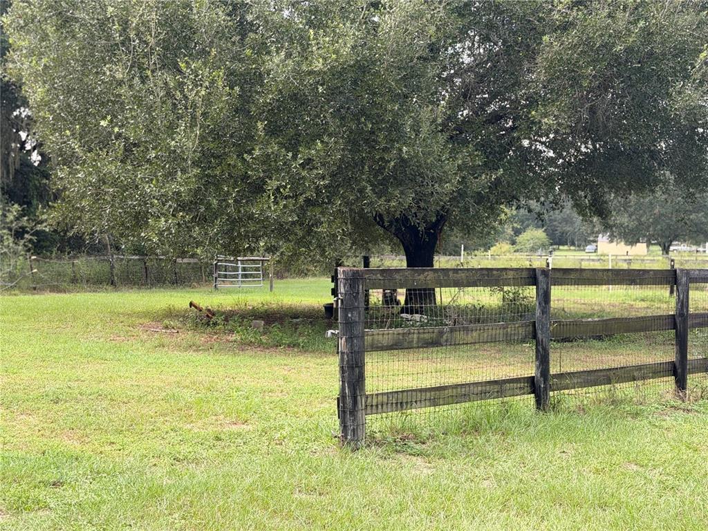 1933 SE 155TH STREET, SUMMERFIELD, FL — photo 4 of 6