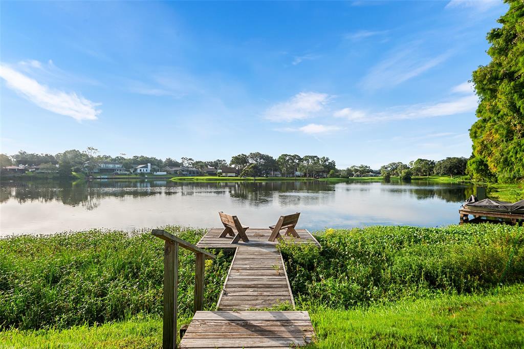 1007 ROLLING WOODS LANE, LAKELAND, FL — photo 3 of 48