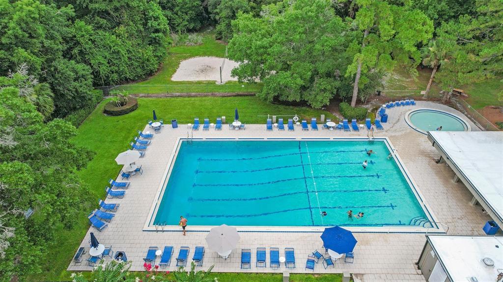 An aerial view of a rectangular swimming pool surrounded by lounge chairs and umbrellas — 220 MOREE LOOP UNIT 2, WINTER SPRINGS, FL
