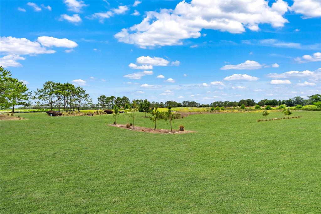 A wide, grassy field features small trees and a distant golf course under a blue sky — 8606 SW 61ST LOOP, OCALA, FL