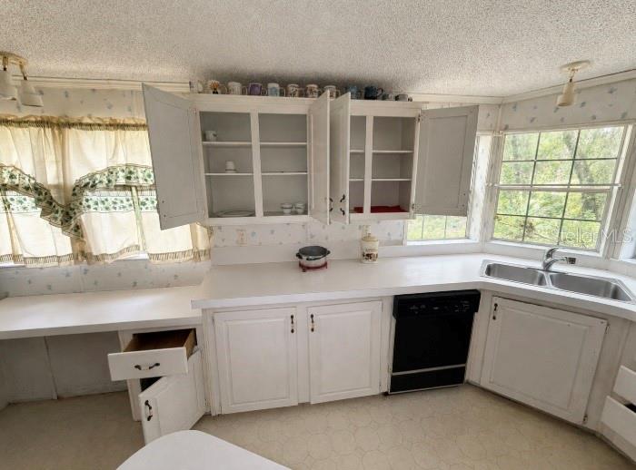 A kitchen features white cabinets, a double sink, a dishwasher, and windows with floral curtains — 15171 NE 154TH LANE, FORT MC COY, FL