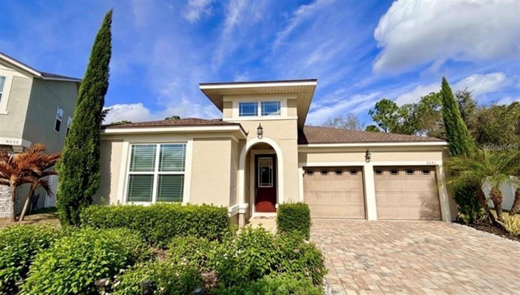 9241 PATRIMONIO LOOP