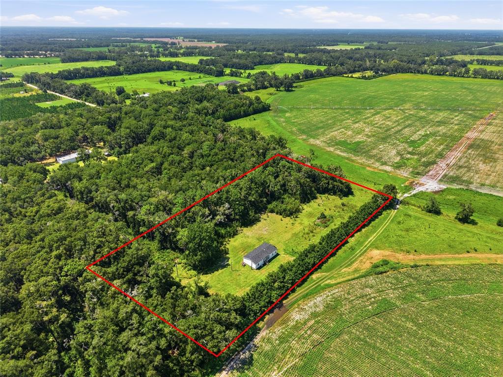 An aerial view shows a small house situated on a rectangular lot surrounded by trees — 4754 SW 10TH STREET, BELL, FL