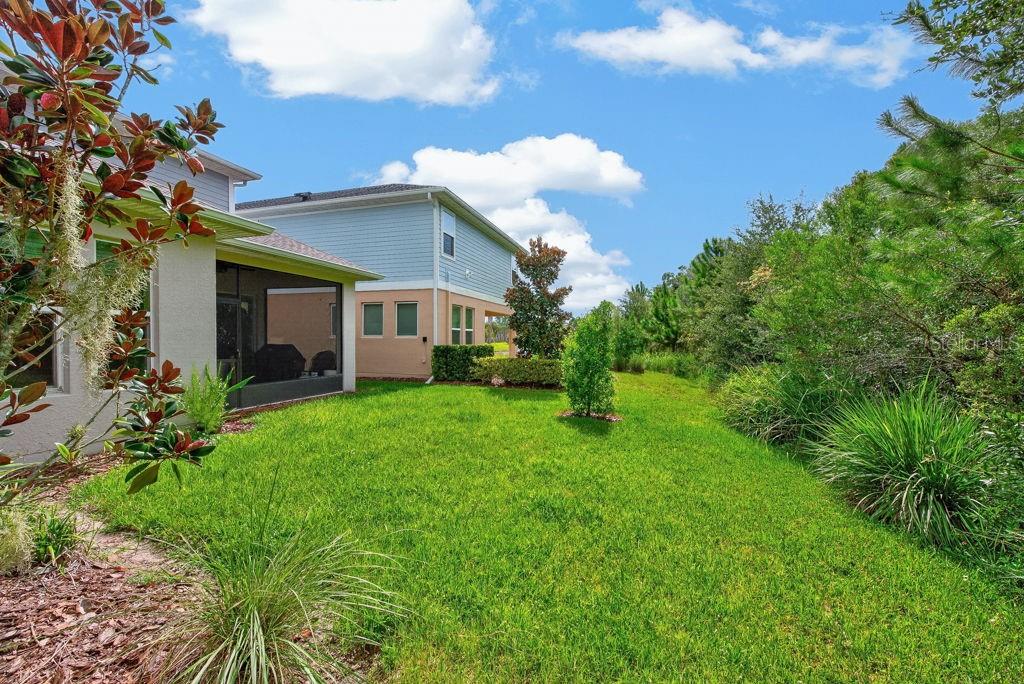 A grassy backyard view of a house with a screened-in patio and surrounding trees — 28583 COZY CREEK DRIVE, WESLEY CHAPEL, FL