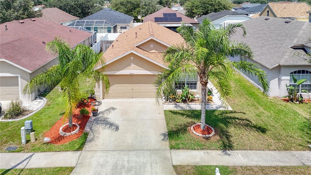 An aerial view shows a tan single-story house with a two-car garage and palm trees — 24443 SUMMER WIND CT, LUTZ, FL