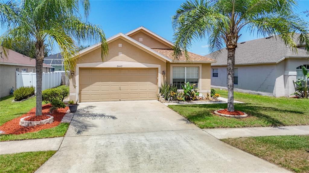 A single-story tan house with a two-car garage and two palm trees in the front yard — 24443 SUMMER WIND CT, LUTZ, FL