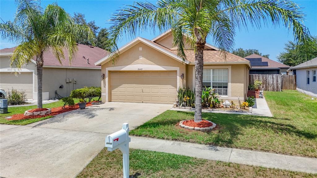A single-story tan house with a two-car garage and two palm trees in the front yard — 24443 SUMMER WIND CT, LUTZ, FL
